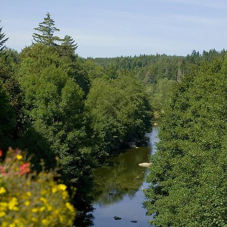Logis Hotel Clair Matin ル・シャンボン・シュル・リニョン エクステリア 写真